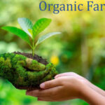 pure organic farming is a natural uses