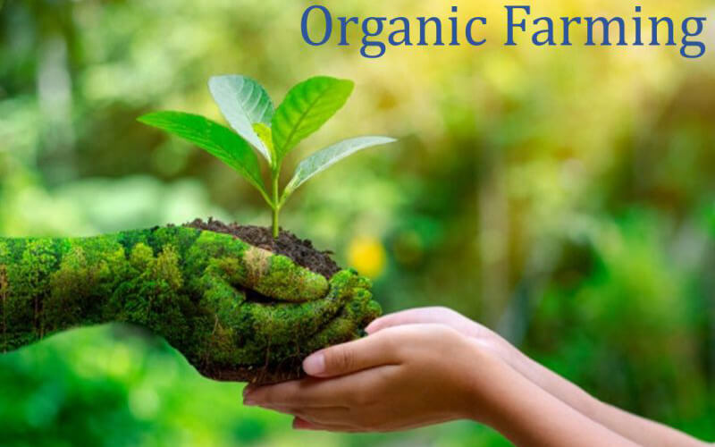 pure organic farming is a natural uses