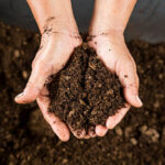 different types of soils