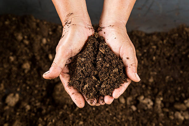 different types of soils